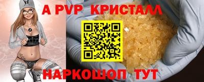 бошки Кингисепп
