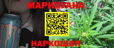 бошки Кингисепп