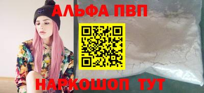 бошки Кингисепп