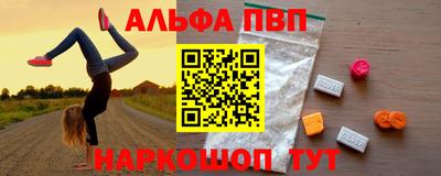 бошки Кингисепп