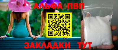 бошки Кингисепп